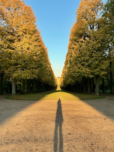 a long ally of trees with a shadow of a person in its middle and a caslte at the end