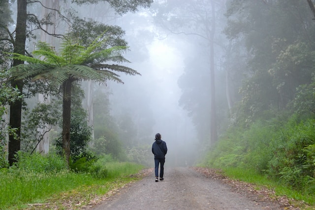 A foggy path ahead