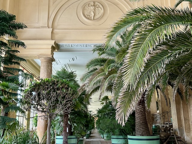 Palm trees in the Orangerie-Castle in Sanssouci Parc in Potsdam, Germany